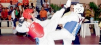 RECINTO UASD SANTIAGO Equipo de Taekwondo logra 11 medallas doradas en Copa