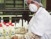 Escuela de Ingeniería Química crea Bebidas probióticas para mejorar calidad de productos lácteos
